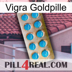 Vigra Gold Pill new09